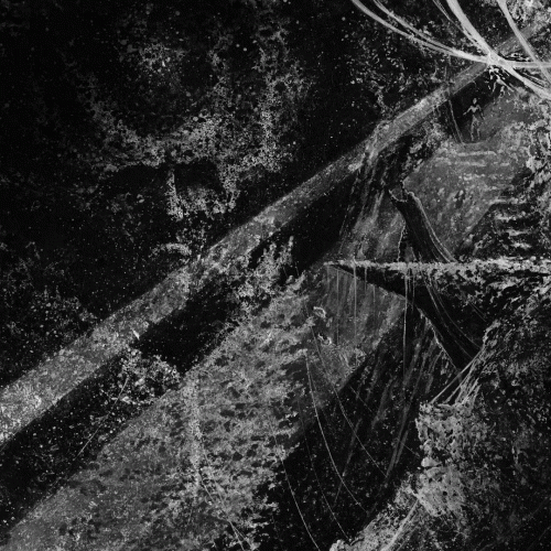 Wiederganger : Stillborn Grace of Liberty